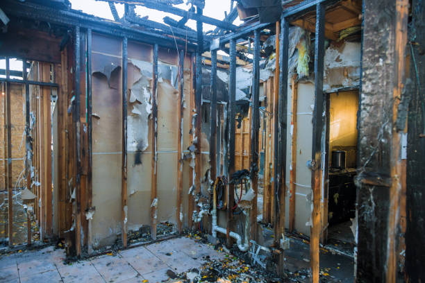 Professional Fire Damage Removal technician working in Spring Valley, MN